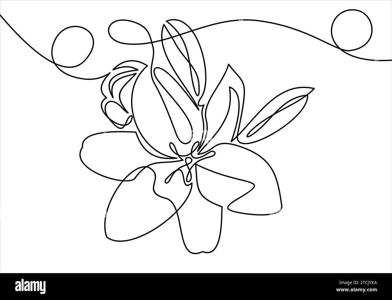 Fiori di orchidea disegnati a mano. Disegno a una linea. illustrazione Illustrazione Vettoriale