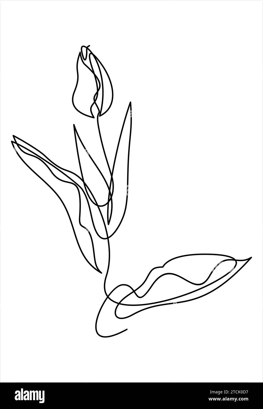 Tulip disegno a una linea. Fiore a linea continua. Illustrazione Vettoriale