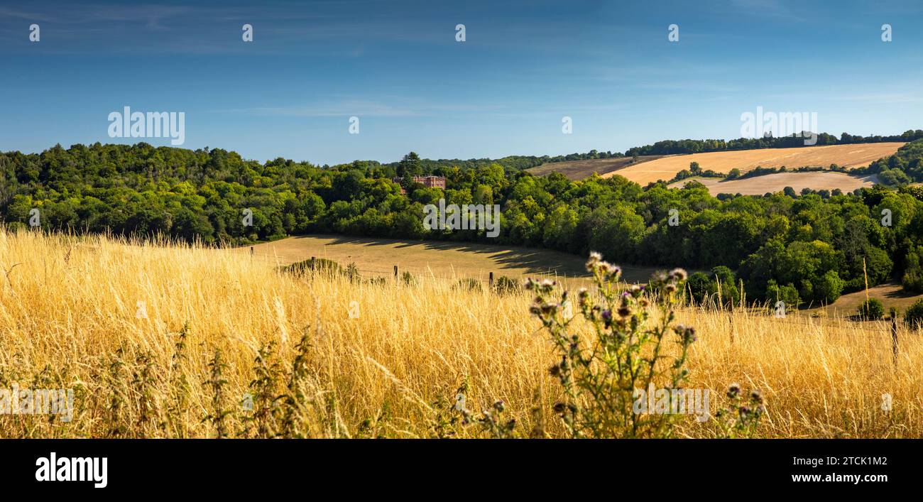 Regno Unito, Inghilterra, Buckinghamshire, High Wycombe, Hughenden Valley, dal bosco del grande Cercatore, panoramico Foto Stock