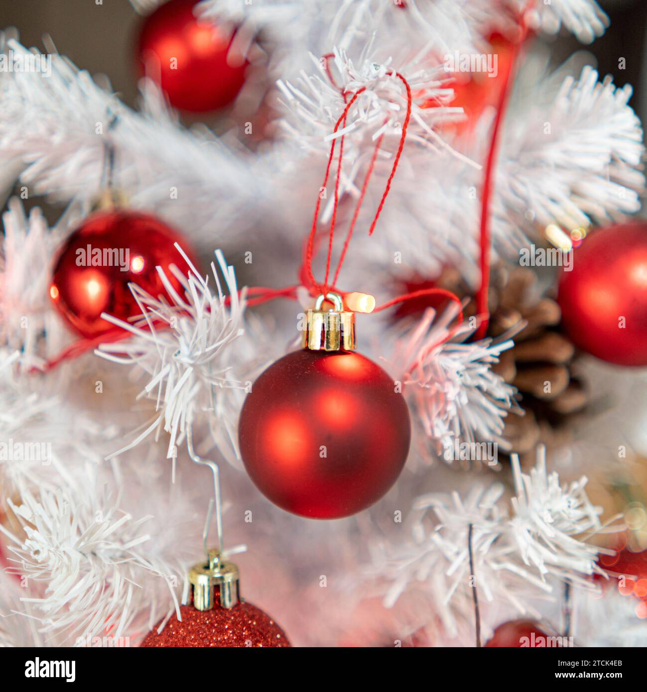 Decorazioni rosse di globo natalizio in albero bianco Foto Stock