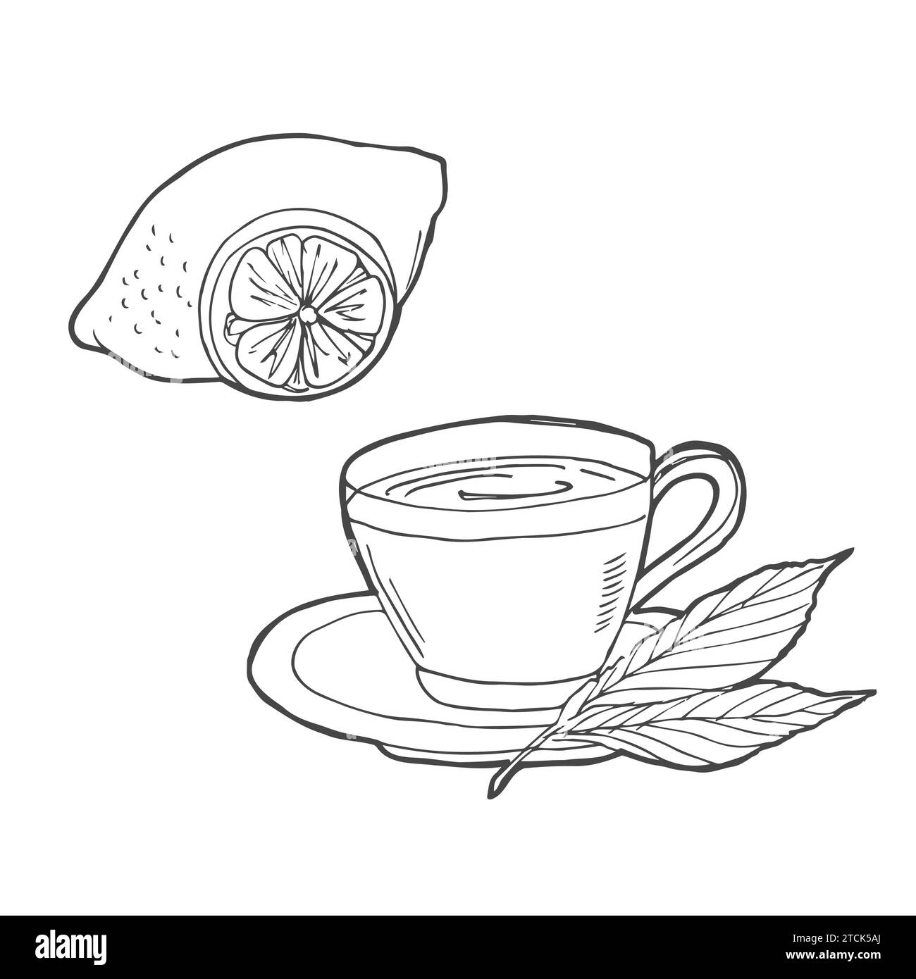 Disegno di tè disegnato a mano. Tazza di tè con menta e lime, limone isolato su bianco. Contorno Doodle. Illustrazione Vettoriale