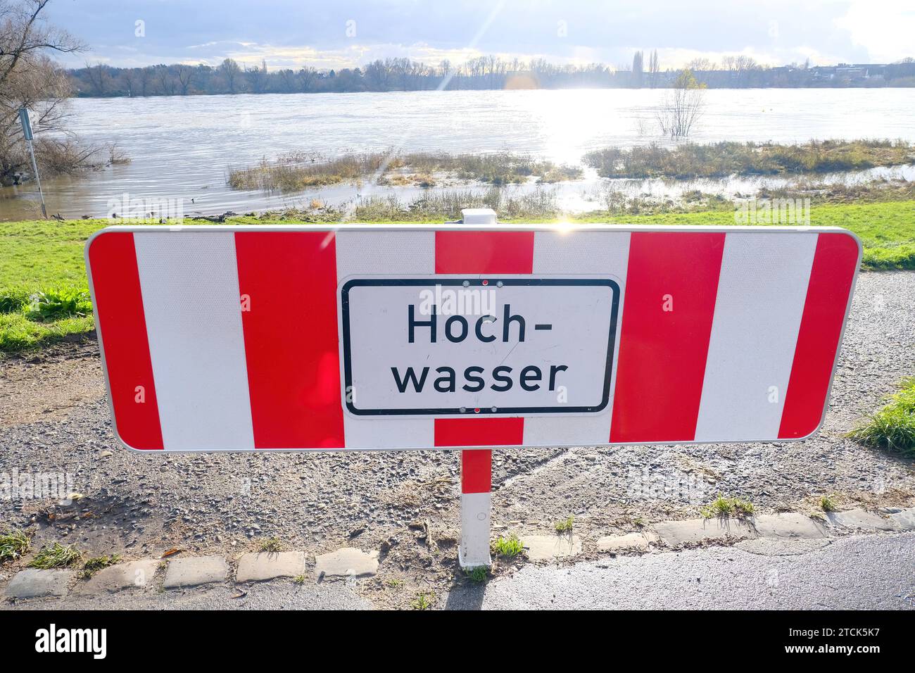 Düsseldorf 13.12.2023 Hochwasser Gewässer Rhein bei Volmerswerth Hochwassergefahr Überflutungsgefahr Hochwasserschäden Überflutungsgebiet Hochwasserdeich Schifffahrt Rheinschifffahrt Strarkregen Regenfälle Düsseldorf Nordrhein-Westfalen Deutschland *** Düsseldorf 13 12 2023 corpi idrici inondazione Reno vicino a Volmerswerth rischio inondazione danni da inondazione diga di inondazione spedizione Reno pesante pioggia Düsseldorf Germania settentrionale Foto Stock