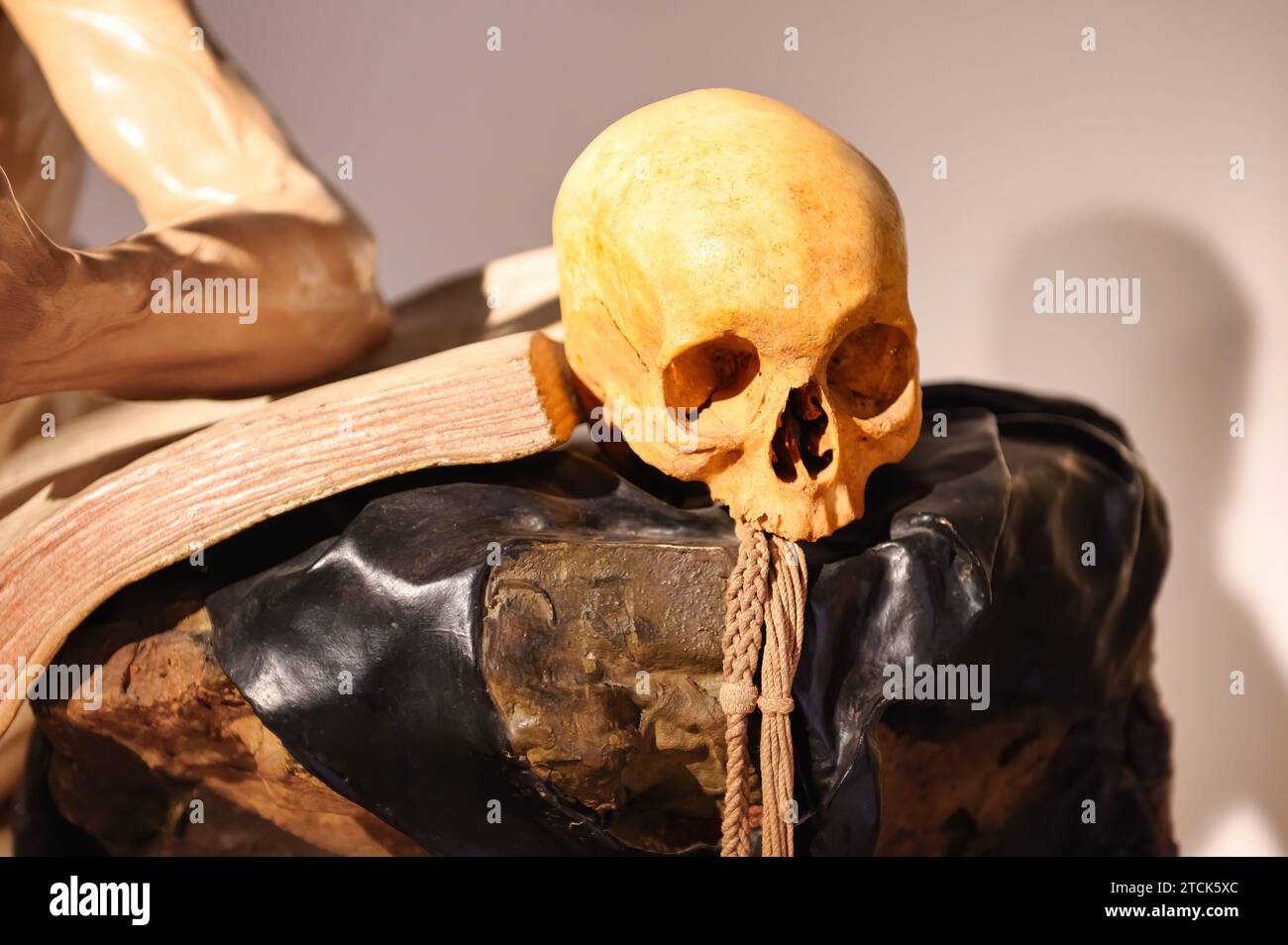 Osso cranico parte di una scultura, Murcia, spagna Foto Stock