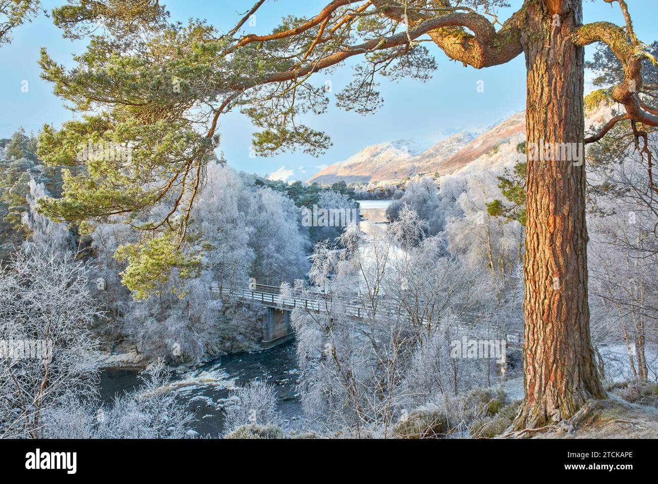 Glen Affric Cannich Scozia il fiume e il ponte in una mattina presto d'inverno colline innevate e una gelata bianca sugli alberi di betulla Foto Stock