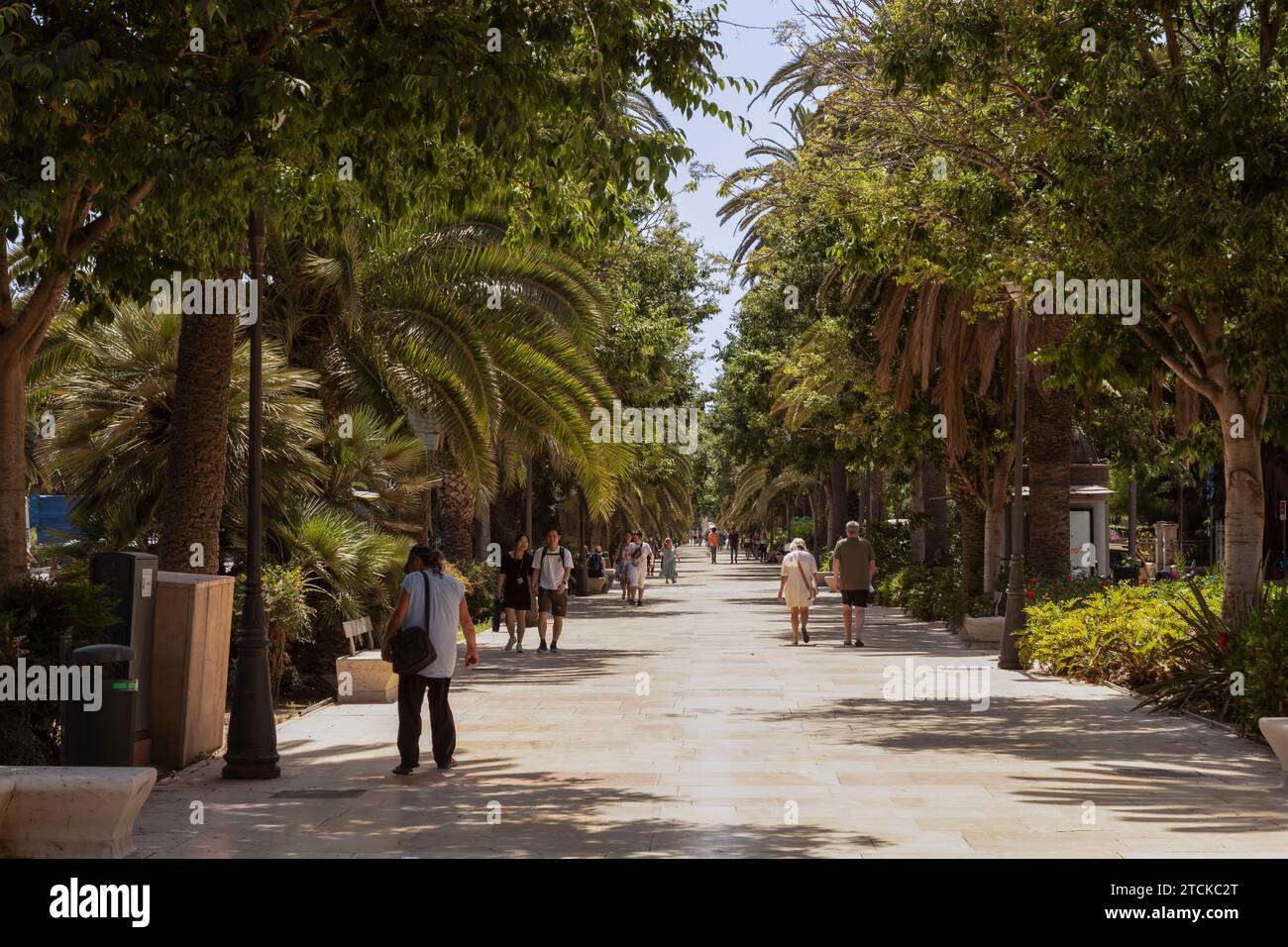 La gente cammina nel parco cittadino con giardini botanici, Paseo del Parque a Málaga. Foto Stock