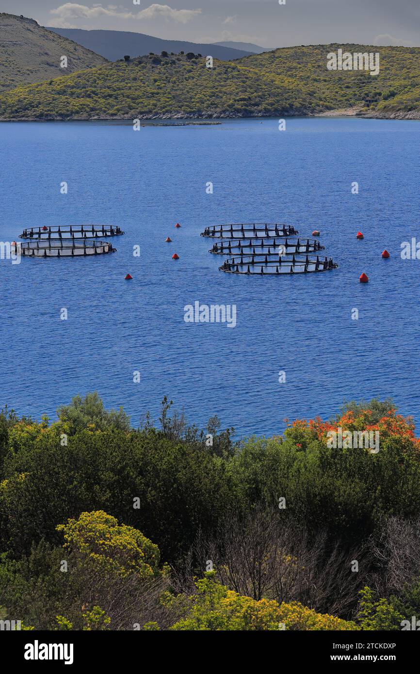 134 Maricultura costiera - acquacoltura marina - penne per l'allevamento di orata e pesce spigola, Port Palermo Bay. Himare-Albania. Foto Stock