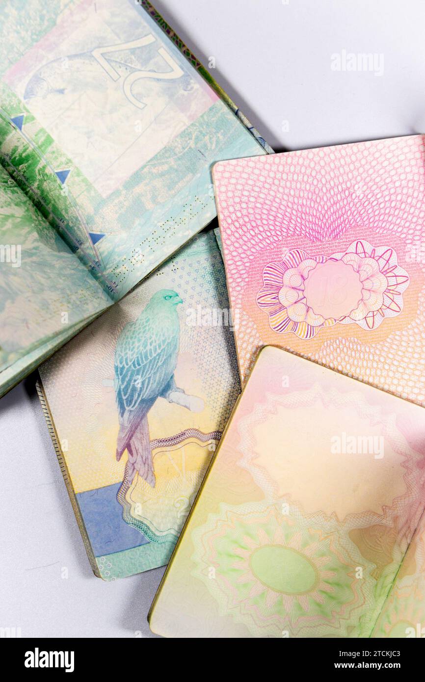 All'interno dei passaporti UE del Regno Unito con motivi di sicurezza stampando pagine isolate su sfondo bianco dello studio Foto Stock