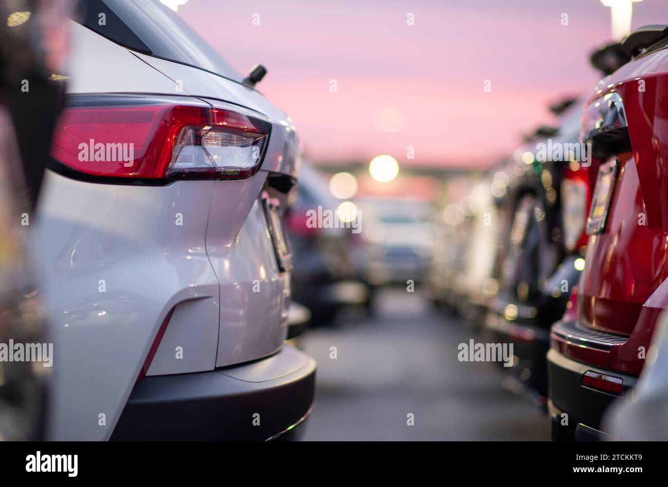 Auto moderne nuove di zecca in un parcheggio della concessionaria durante il tramonto panoramico Foto Stock