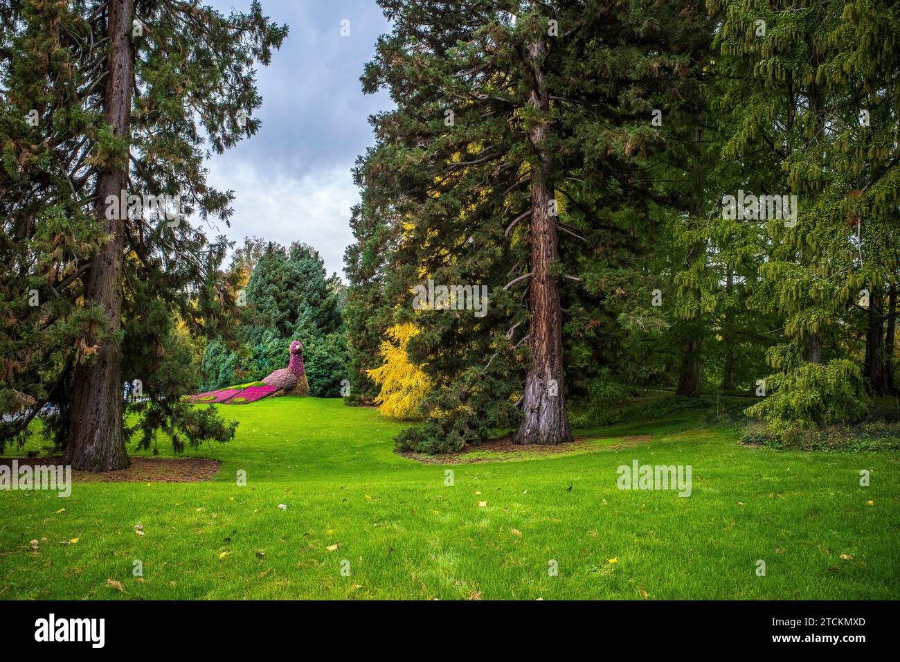 Giardino paesaggistico con elementi decorati con fiori come si vede sull'isola di Mainau in Germania Foto Stock