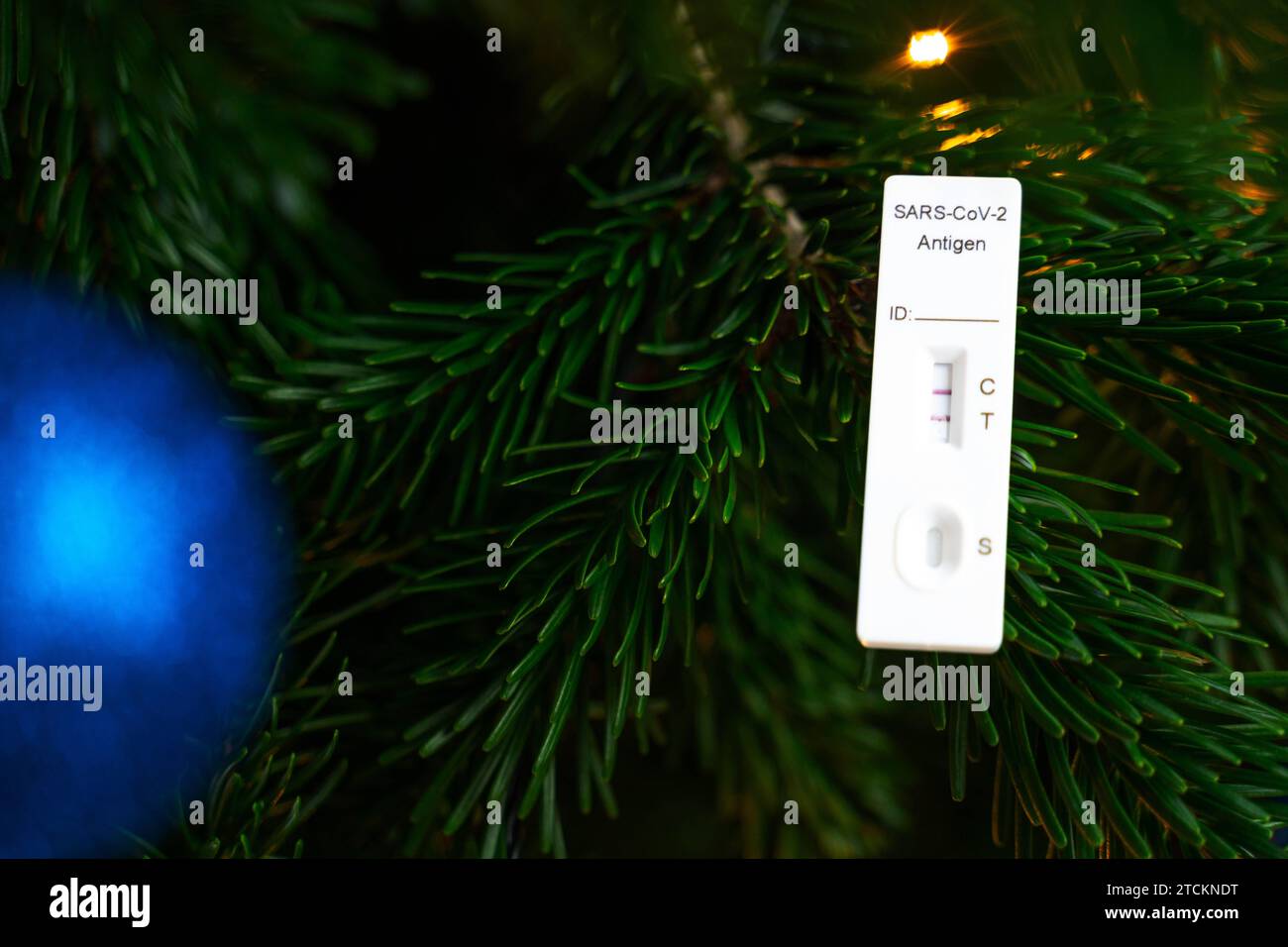 Augusta, Baviera, Germania - 13 dicembre 2023: Test rapido Covid-19 positivo in un albero di Natale decorato. Corona Sick at Christmas Concept PHOTOMONTAGE *** Ein positiver Covid-19 Schnelltest in einem geschmückten Weihnachtsbaum. Corona Krank An Weihnachten Konzept FOTOMONTAGE Foto Stock