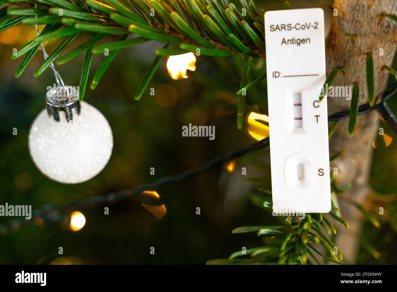 Augusta, Baviera, Germania - 13 dicembre 2023: Test rapido Covid-19 positivo in un albero di Natale decorato. Corona Sick at Christmas Concept PHOTOMONTAGE *** Ein positiver Covid-19 Schnelltest in einem geschmückten Weihnachtsbaum. Corona Krank An Weihnachten Konzept FOTOMONTAGE Foto Stock