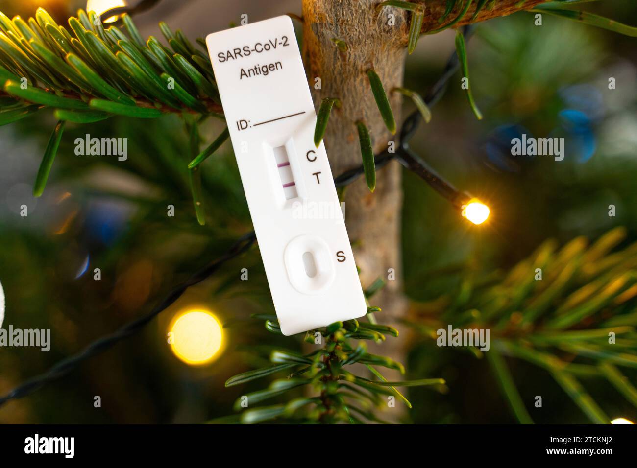 Augusta, Baviera, Germania - 13 dicembre 2023: Test rapido Covid-19 positivo in un albero di Natale decorato. Corona Sick at Christmas Concept PHOTOMONTAGE *** Ein positiver Covid-19 Schnelltest in einem geschmückten Weihnachtsbaum. Corona Krank An Weihnachten Konzept FOTOMONTAGE Foto Stock
