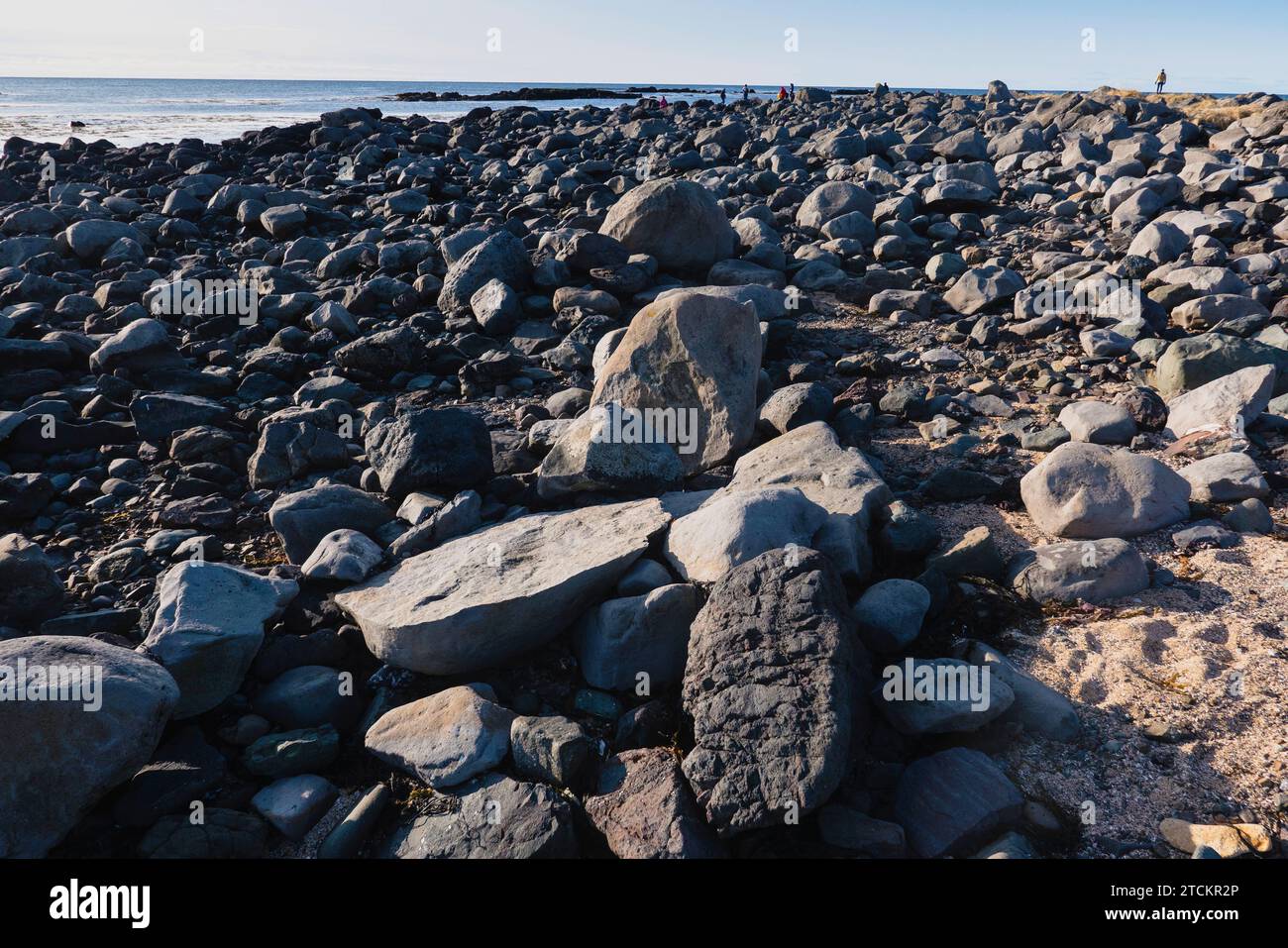 Islanda, Parco nazionale della penisola di Snæfellsnes, spiaggia di foche di Ytri Tunga con turisti turistici. Foto Stock