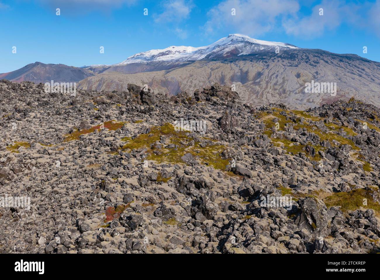 Islanda, Parco nazionale della penisola di Snæfellsnes, Snæfellsjökull, uno stratovulcano di 700 000 anni, ricoperto da un ghiacciaio, con un campo di lava ricoperto di muschio in primo piano. Foto Stock