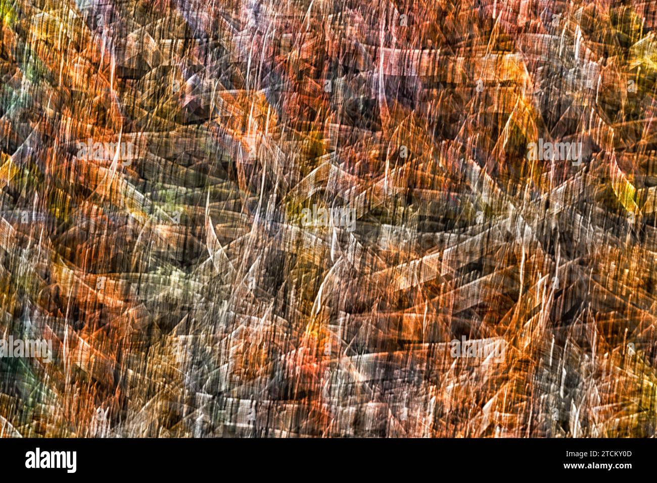 Foglie di erba, sfondo astratto, effetto di pulizia, esposizione della lampadina Foto Stock