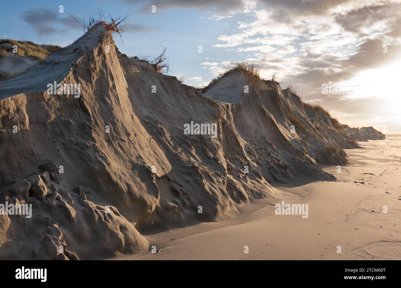 Erosione delle dune, sabbia persa da una serie di dune sotto l'attacco delle onde, lasciando una ripida scarpata delle dune, ritiro del fronte delle dune Foto Stock Erosione delle dune, sabbia persa da una serie di dune sotto l'attacco delle onde, lasciando una ripida scarpata delle dune, ritiro del fronte delle dune Foto Stock