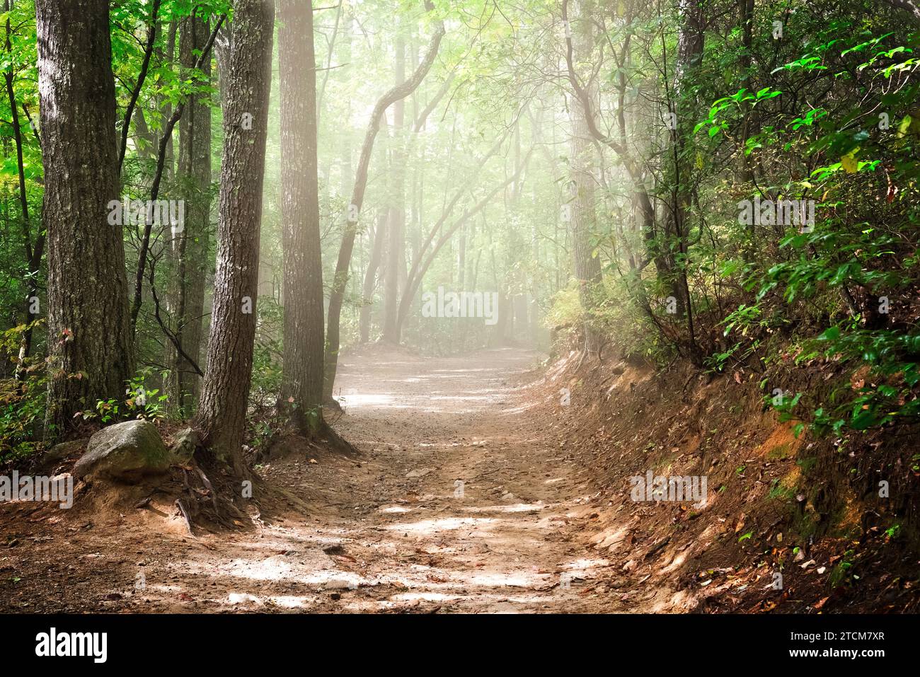Sentiero escursionistico nel Gorge National Park in autunno, nella Carolina del Nord occidentale Foto Stock