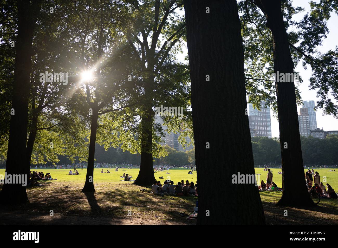 3 settembre 2023, USA, New York: I visitatori siedono a Central Park. Foto: Sebastian Kahnert/dpa Foto Stock