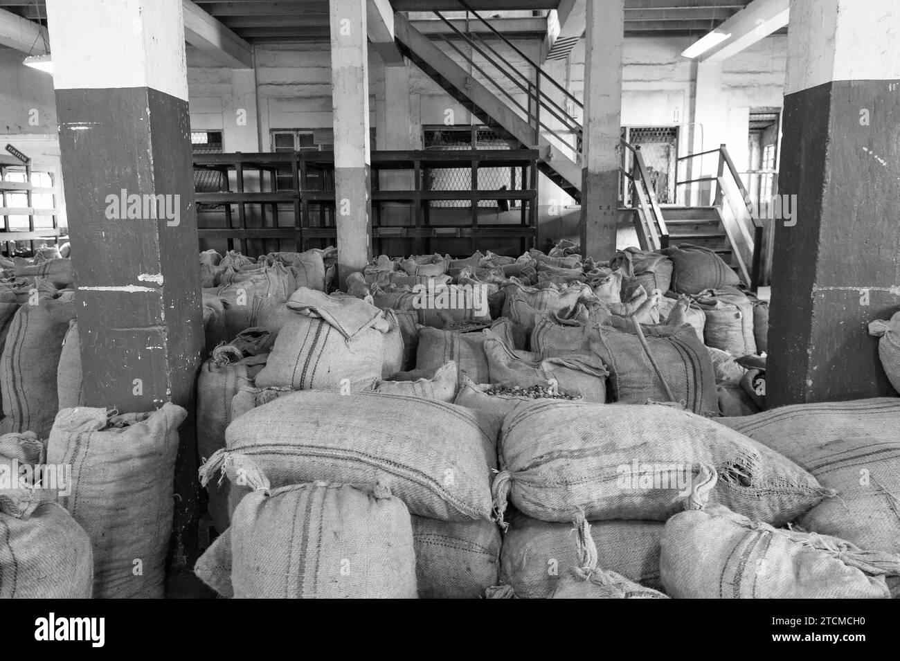 Sacchi di burlap in magazzino agricolo. Sacchi gunny o sacchetti sfusi. Sacchi sackful in deposito Foto Stock