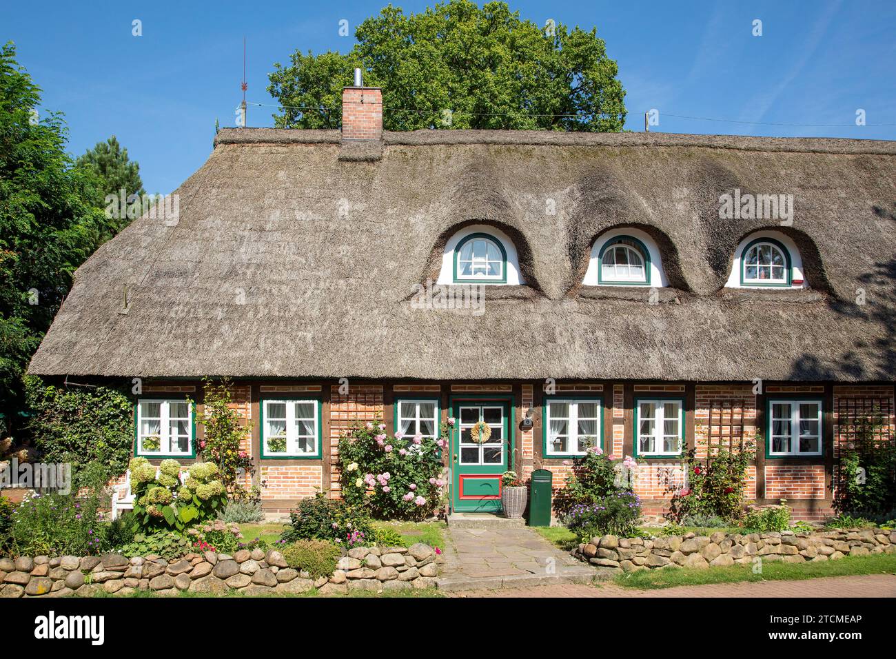 Casa di paglia, Egestorf, bassa Sassonia, Germania Foto Stock