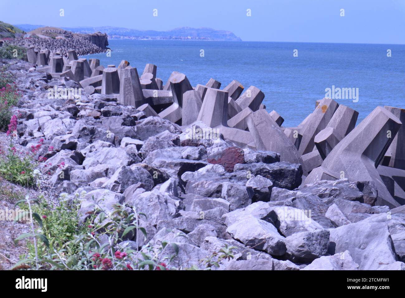 Penrhyn Bay, Galles, Regno Unito 7 giugno 2023 strutture in cemento schierate lungo l'area di Colwyn Bay che hanno progettato di bloccare e fornire una barriera difensiva contro le onde e proteggere la costa. I blocchi sono stati progettati con un motivo a T in modo che, anziché essere spazzati via individualmente, si interfacciano per fornire una barricata di roccia e un muro di breeakwall ©Ged Noonan/Alamy Foto Stock