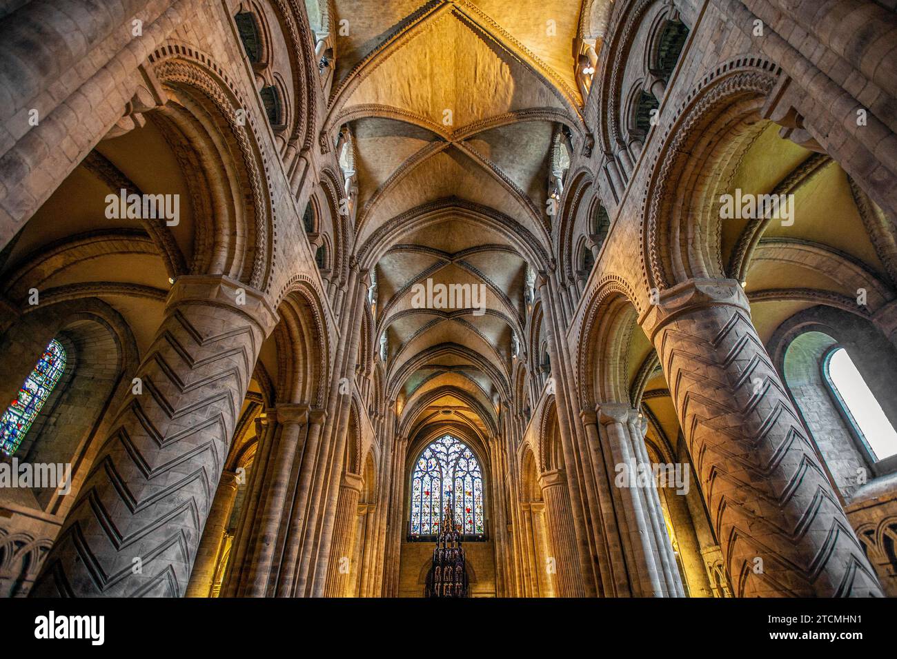 Soffitto a volta sopra la navata della Cattedrale di Durham Foto Stock