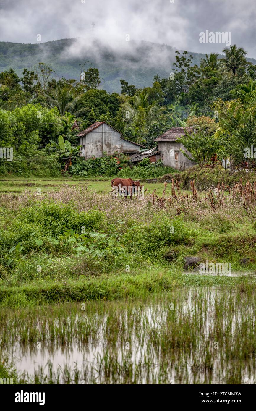 Loc Yen Ancient Village, vicino a Hoi An, Vietnam Foto Stock