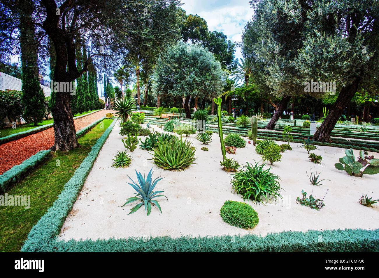 Stupendo giardino di cactus su sabbia bianca - parte dei Giardini di Bahai ad Haifa . Speciale giardino di cactus aperto tutti i giorni accanto al tempio di Bab Foto Stock