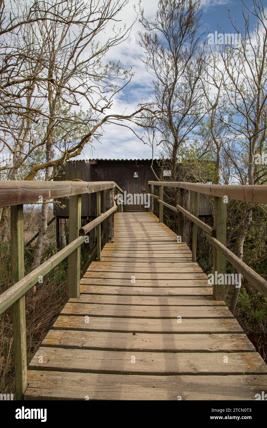 Un sentiero in legno in un parco nell'Aiguamolls de l'Emporda in Francia Foto Stock