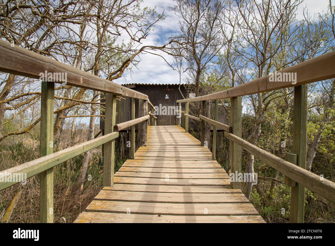 Un sentiero in legno in un parco nell'Aiguamolls de l'Emporda in Francia Foto Stock