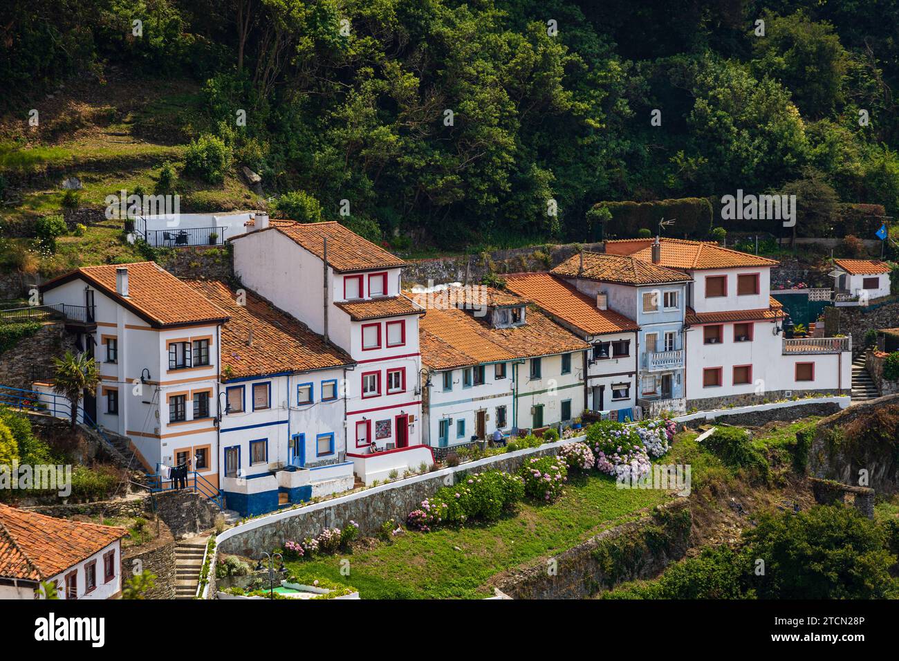 Una strada circondata da alberi verdi, erba, fiori e arbusti, una fila di case bianche con tetti di tegole rosse. Giornata di sole. Cudillero, Asturie, Spagna. Foto Stock