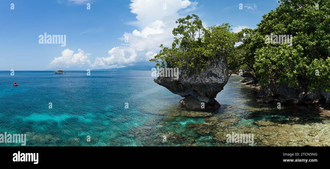 Una sana barriera corallina confina con una lussureggiante isola tropicale vicino ad Ambon, Indonesia. Questa remota area tropicale ospita una straordinaria biodiversità marina. Foto Stock