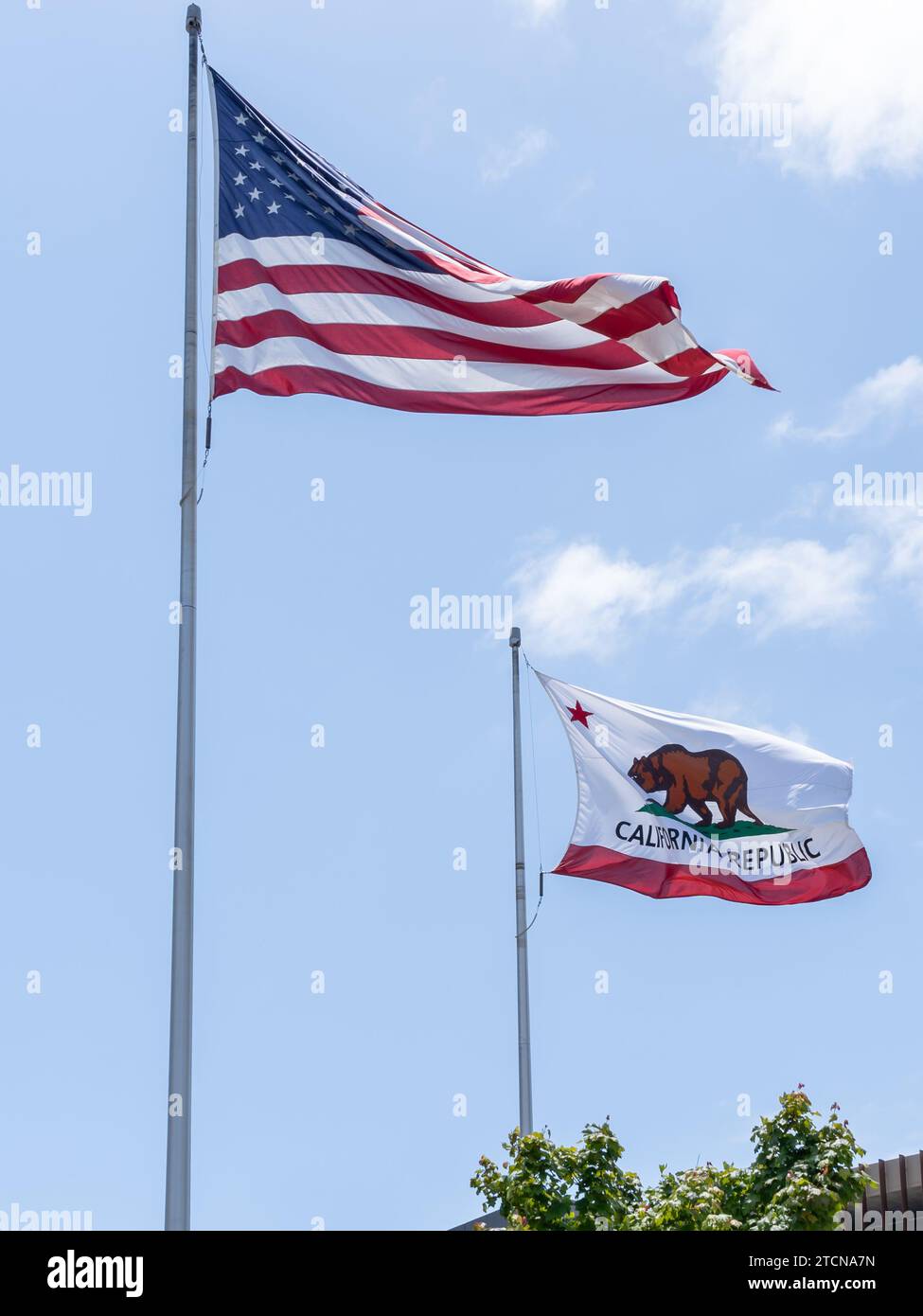 Set Di Bandiere Della California Illustrazione Vettoriale