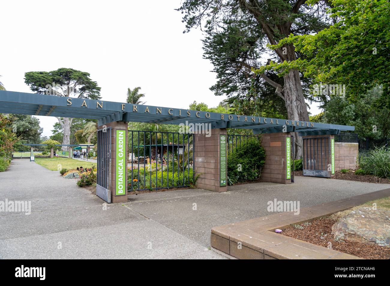 Giardino botanico di San Francisco a San Francisco, California, Stati Uniti Foto Stock