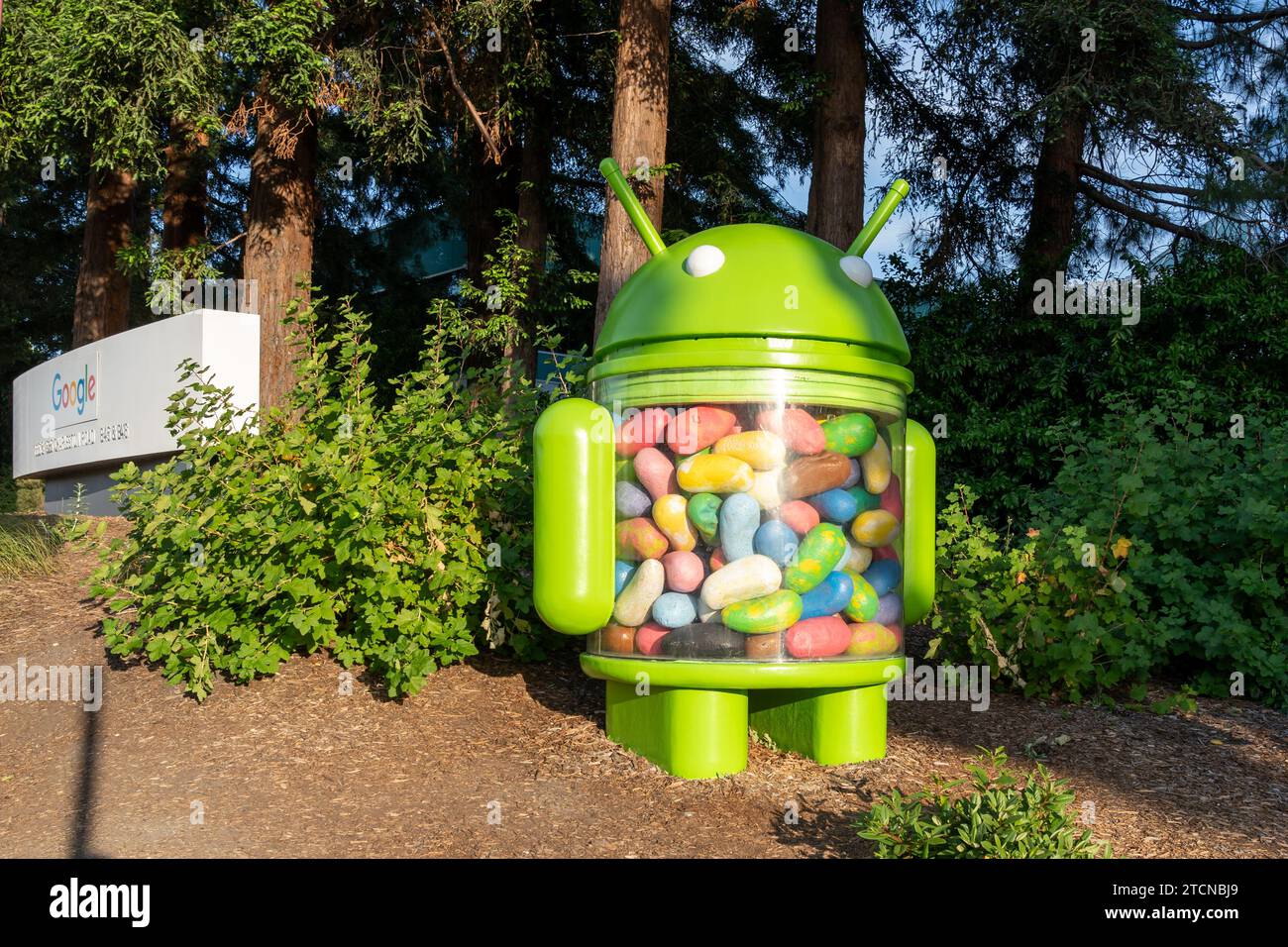 Statue Android Jelly Bean in Googleplex a Mountain View, CA, USA Foto Stock