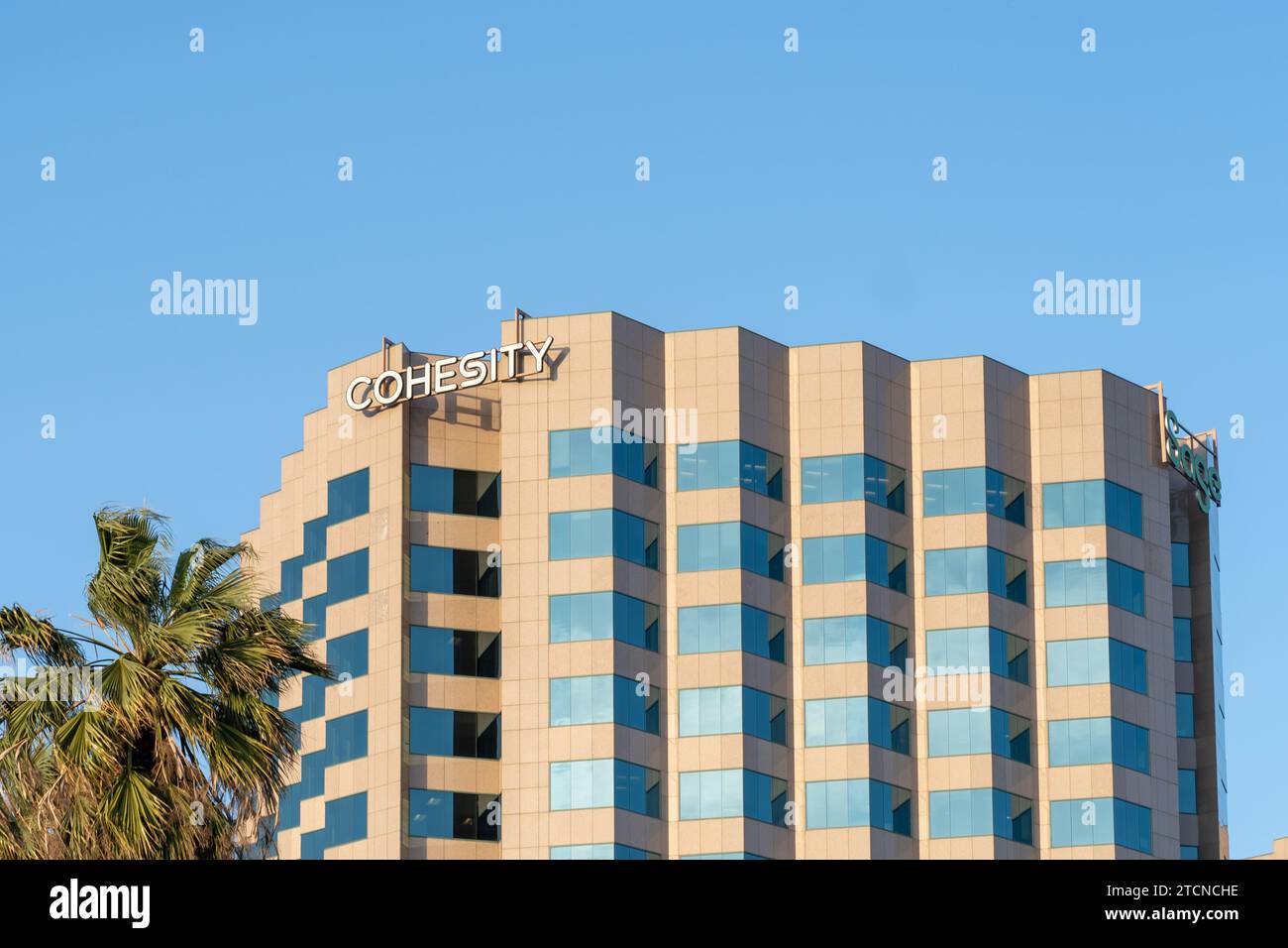 Sede centrale della Cohesity a San Jose, California, USA Foto Stock