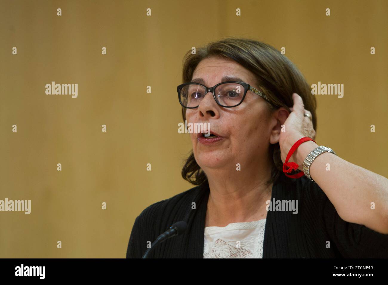 Madrid, 29/12/2016. Il delegato di ambiente e mobilità Inés Sabanés, accompagnato dal direttore generale di sostenibilità e controllo ambientale Paz valiente Calvo, riferisce sull'inquinamento a Madrid. Foto: Isabel Permuy ARCHDC. Crediti: Album / Archivo ABC / Isabel B Permuy Foto Stock