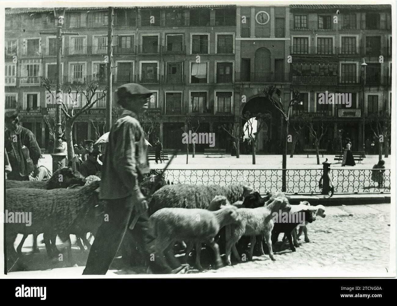 Toledo, 1933 (CA.). Un pastore e il suo gregge attraversano la piazza Zocodover negli anni '1930 Crediti: Album / Archivo ABC / Rodríguez Foto Stock