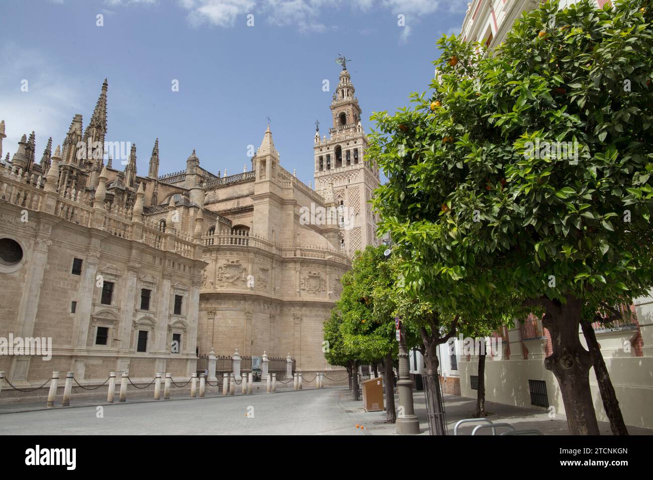 Siviglia, 24/03/2020. Allarme Coronavius. Primavera. Fiori in città. Foto: Rocío Ruz Archsev. Crediti: Album / Archivo ABC / Rocío Ruz Foto Stock