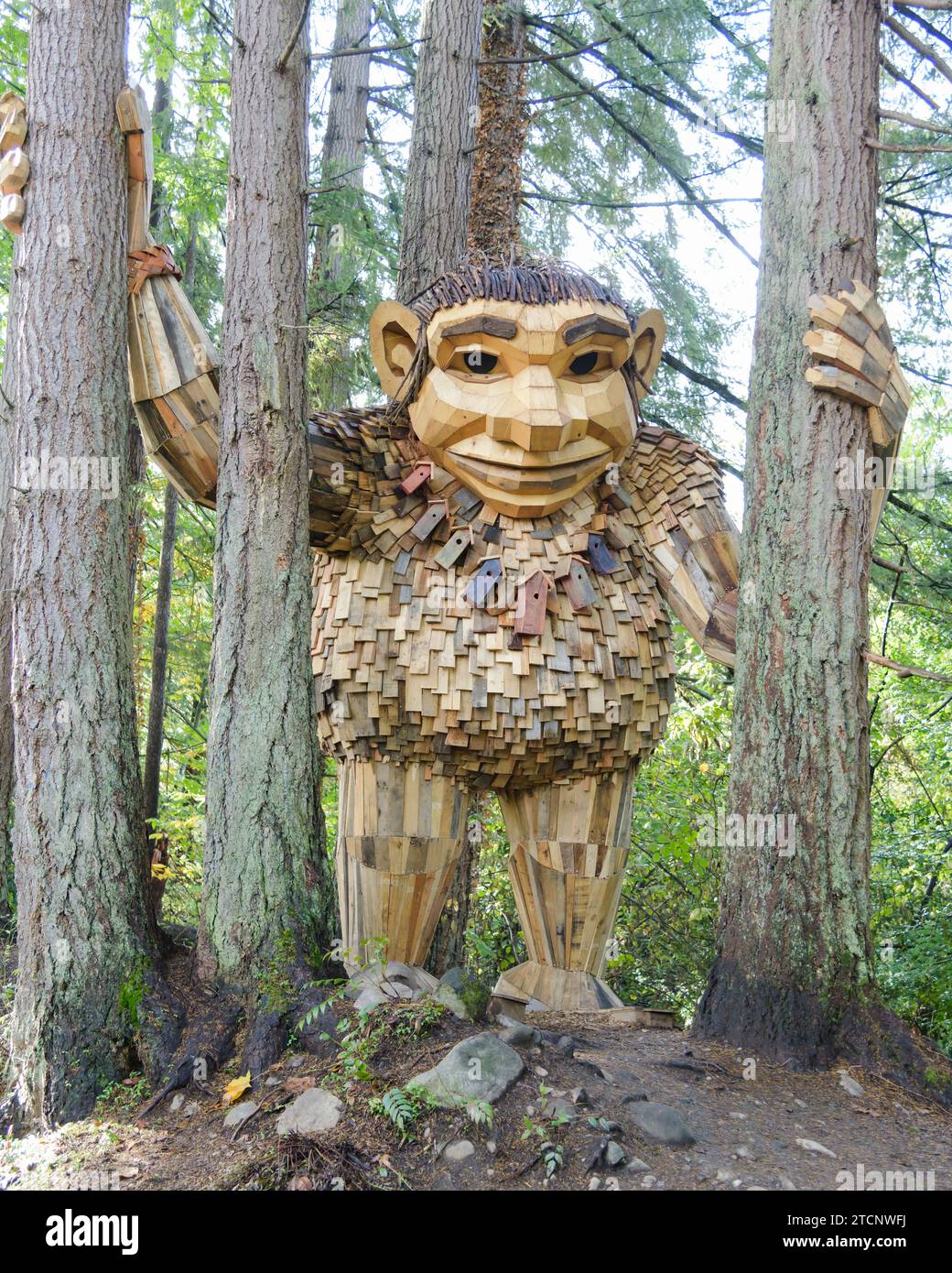 Issaquah, WA, USA - 26 ottobre 2023; artista ambientale danese Thomas Dambo artwork - Jakob Two Tree full view Foto Stock