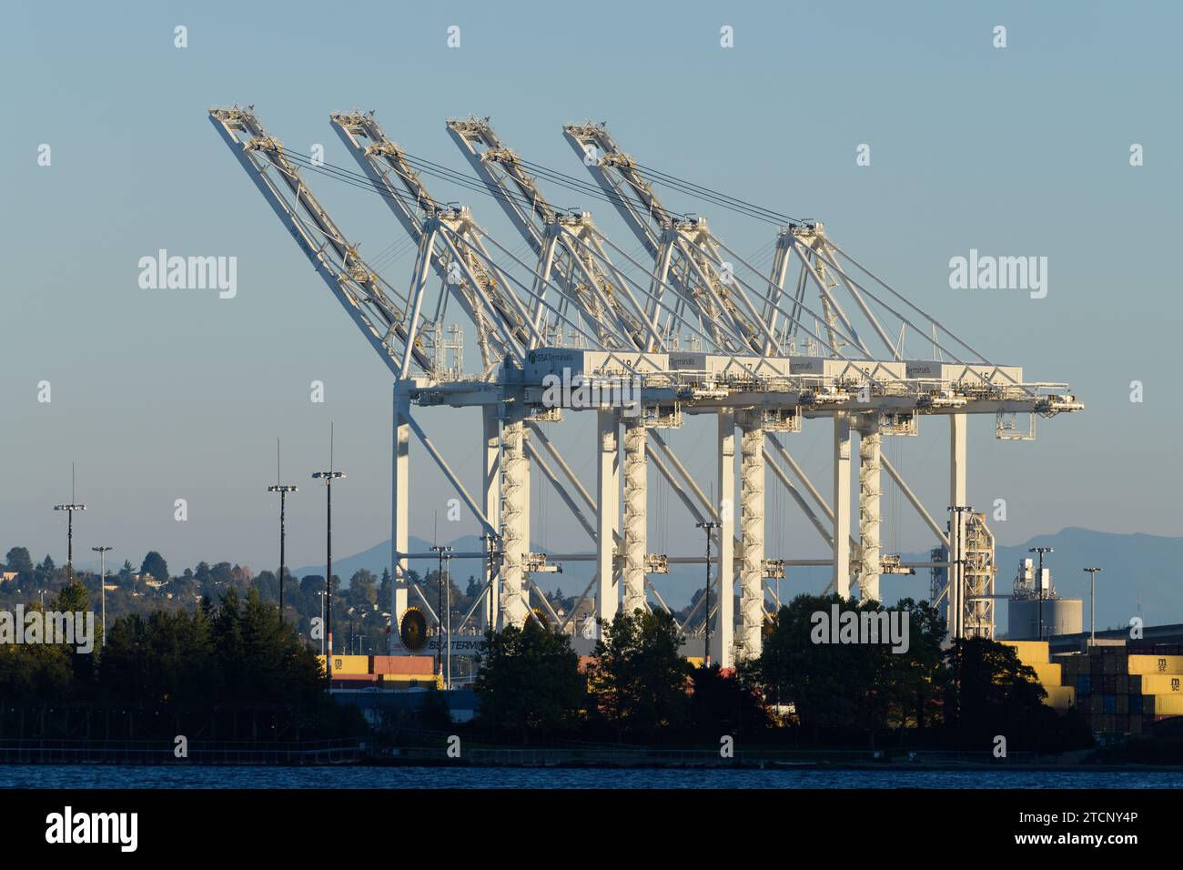 Seattle - 28 ottobre 2023; gru terminal SSA al porto di Seattle con bracci sollevati Foto Stock