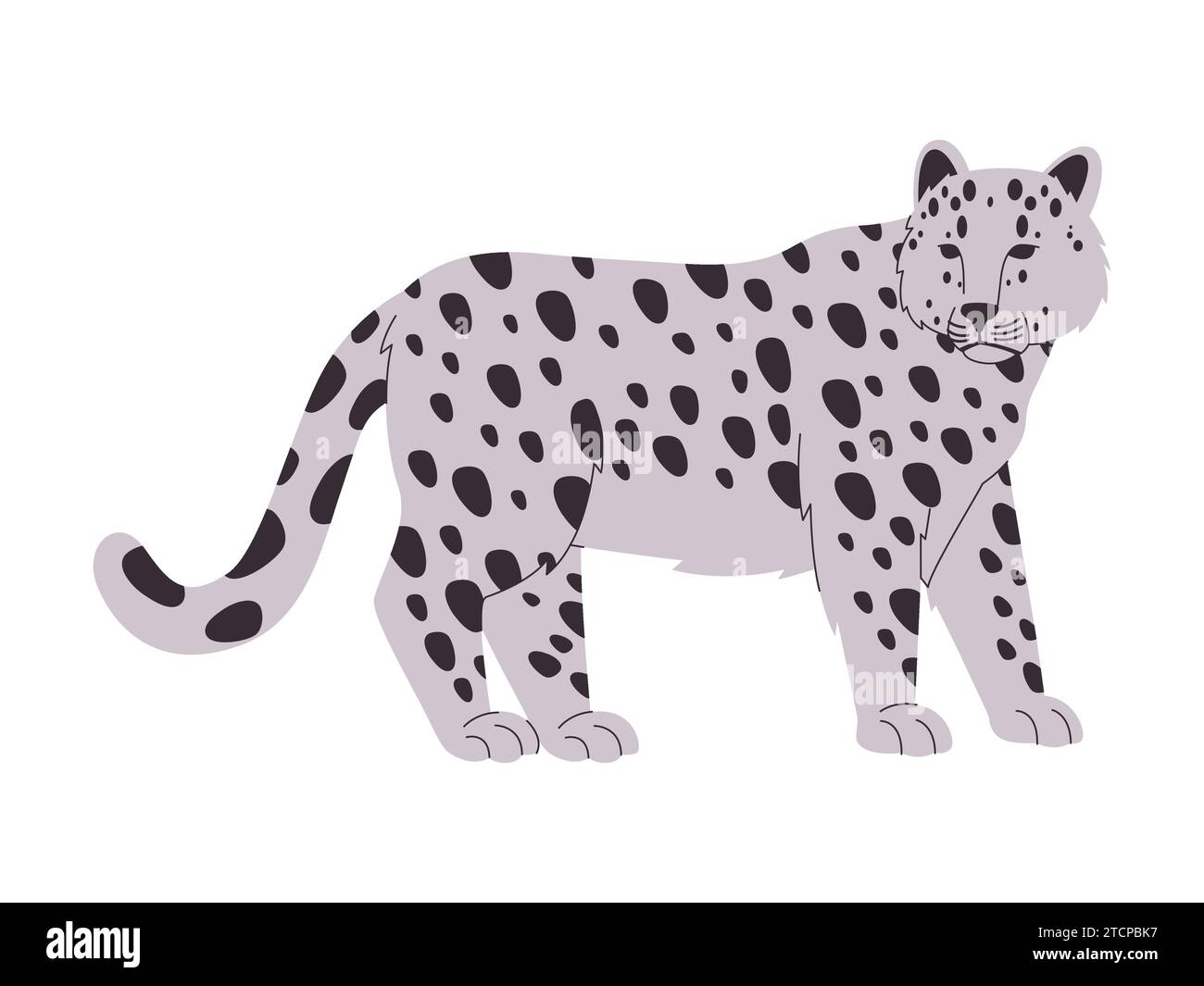 leopardo delle nevi grande gatto animale selvatico pericolo carnivoro predatore cacciatore creatura ambiente invernale Illustrazione Vettoriale