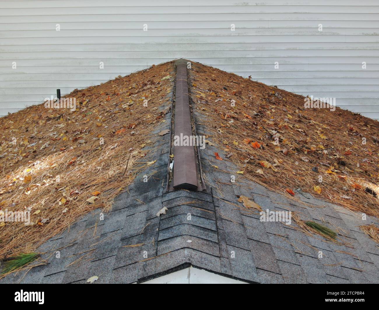 foto di un vecchio tetto ricoperto di foglie e aghi di pino in una soleggiata giornata autunnale. Foto Stock