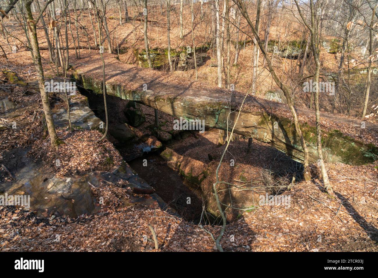 Rockbridge State Nature Preserve nella contea di Hocking, Ohio, Stati Uniti Foto Stock