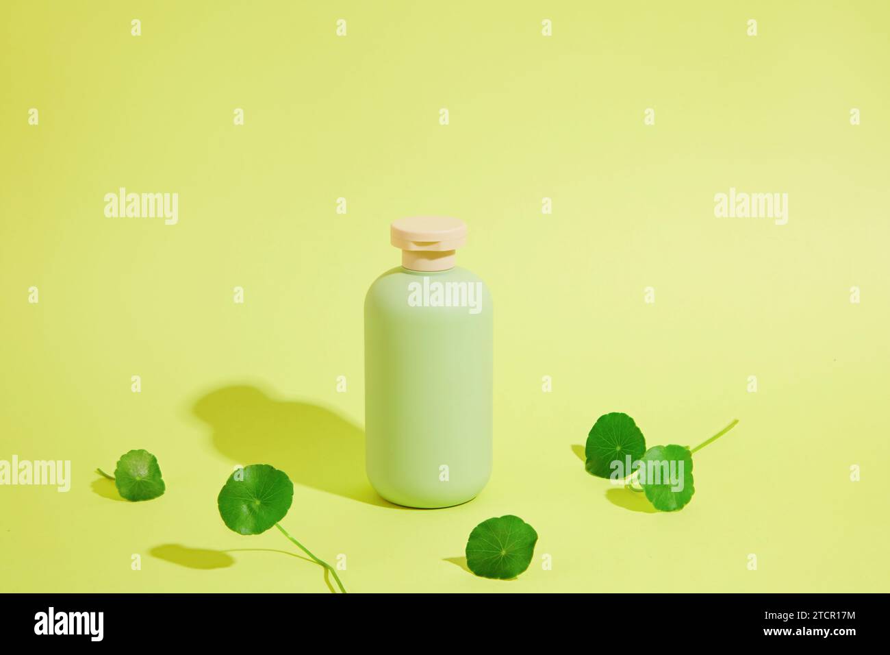 Una bottiglia cosmetica non etichettata brilla su uno sfondo pastello, circondata da foglie fresche di pennywort. Essenza di Triterpenoidi disponibile in pennywort aiuta r Foto Stock