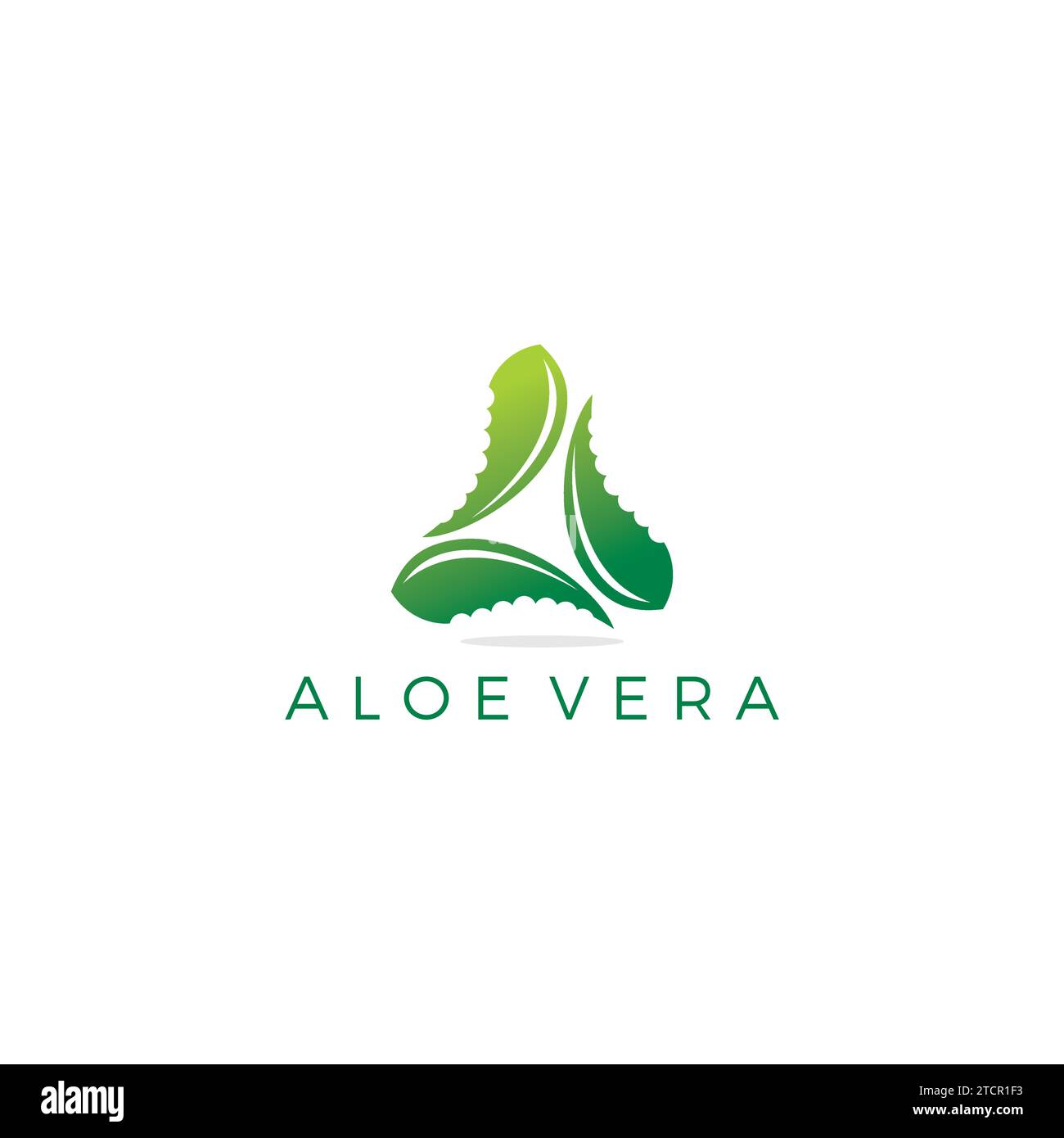 Logo Aloe vera semplice. Icona a base di erbe Illustrazione Vettoriale