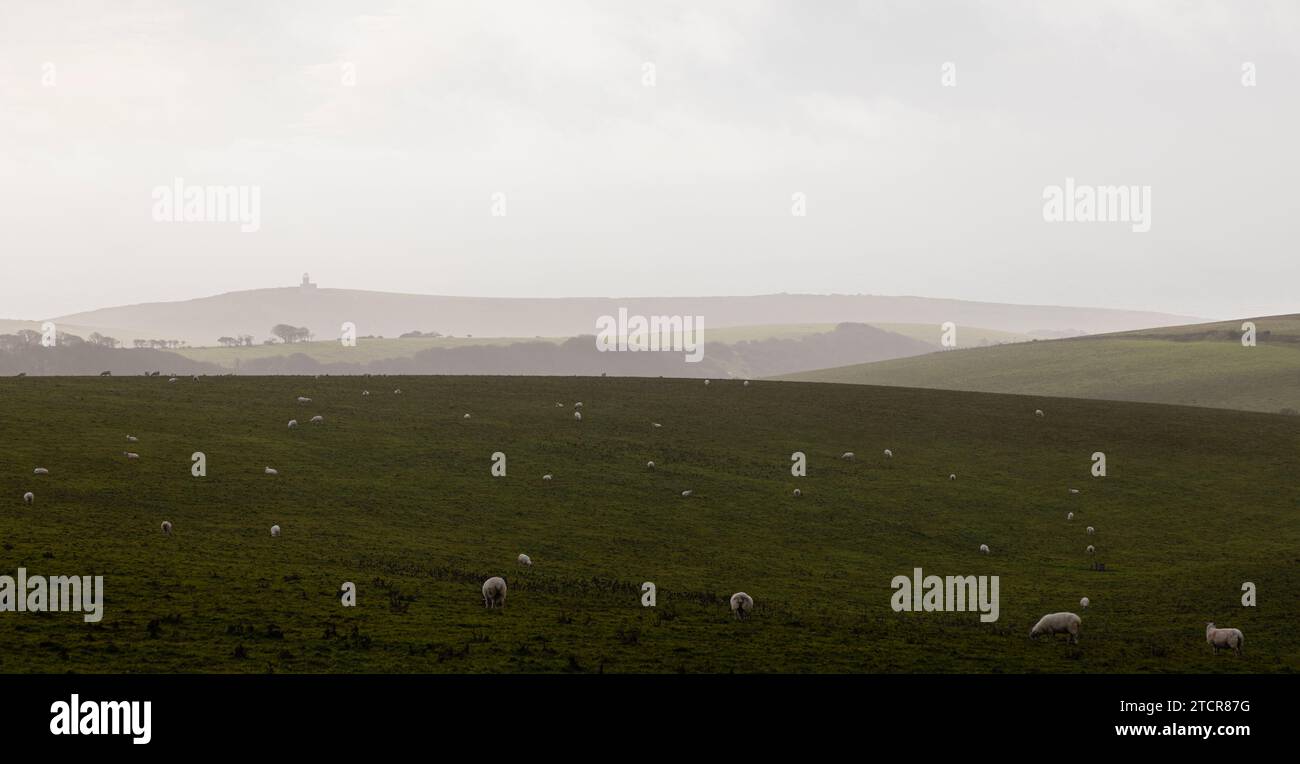 Vista del faro di Belle Tout da Warren Hill, a sud del Sussex orientale, Inghilterra sud-orientale, Regno Unito Foto Stock