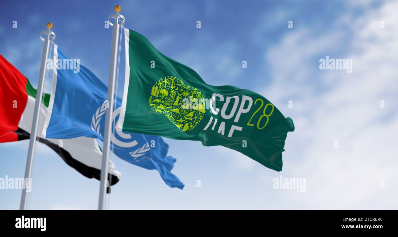 Dubai, Emirati Arabi Uniti, novembre 30 2023: Bandiere della COP28, dell'UNFCCC e degli Emirati Arabi Uniti sventolano in una giornata limpida. rendering dell'illustrazione 3d. Messa a fuoco selettiva. Tessuto ondulato Foto Stock