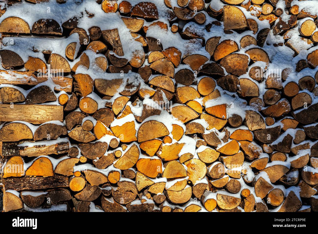 Tagliato a legna e pronto per il camino, impilato e coperto di neve. Abruzzo, Italia, Europa Foto Stock