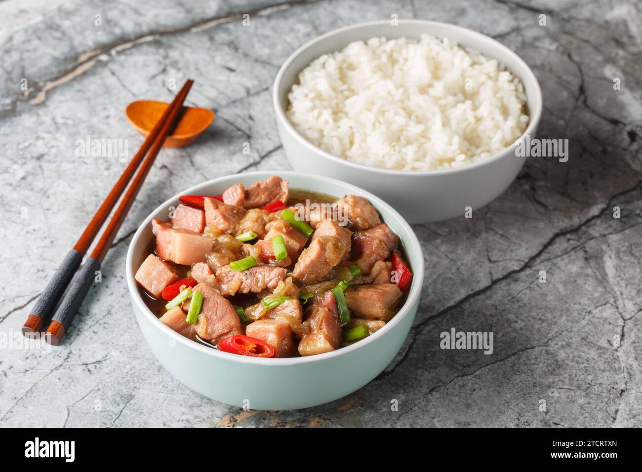 Maiale brasato Balinese Babi Kecap con salsa di soia dolce servito con primo piano di riso sul tavolo. Orizzontale Foto Stock